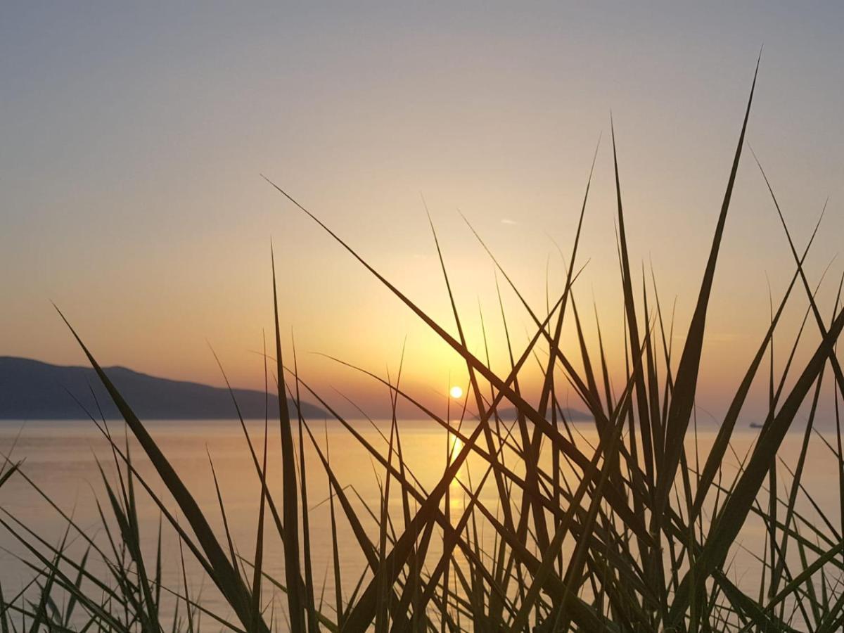 I Due Ciuchini Sardinia Daire Sassari Dış mekan fotoğraf