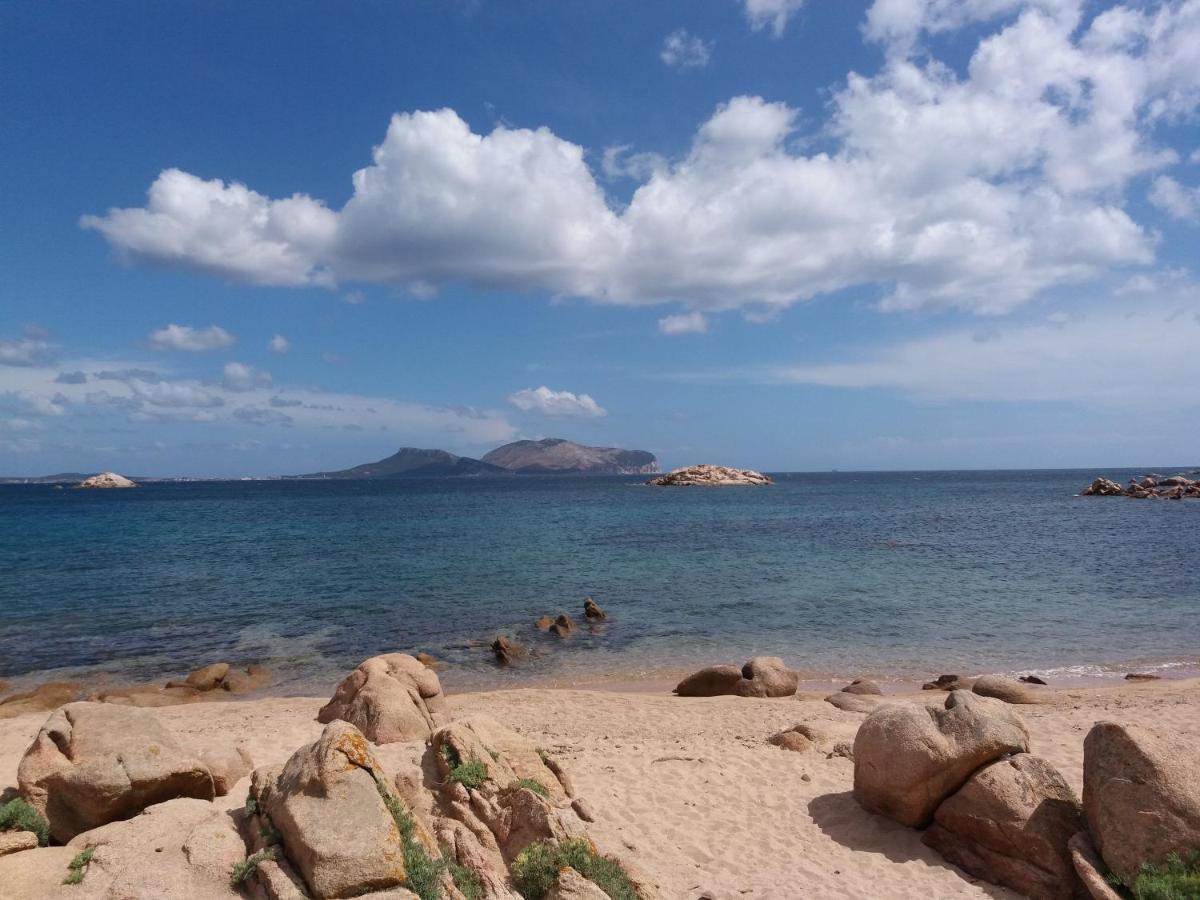 I Due Ciuchini Sardinia Daire Sassari Dış mekan fotoğraf